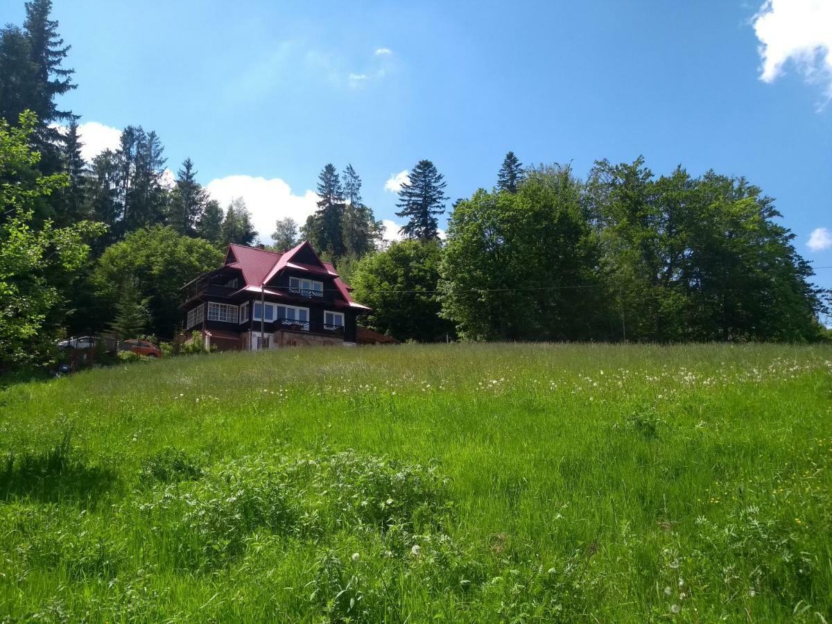 Willa Wislok Wisła Esterno foto
